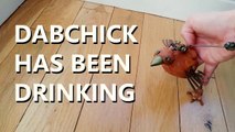 DABCHICK has been DRINKING!-DBAaNXoODOU