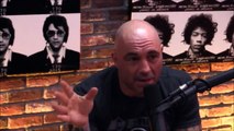 Joe Rogan and Gavin McInnes on Milo Yiannopoulos Controversy -