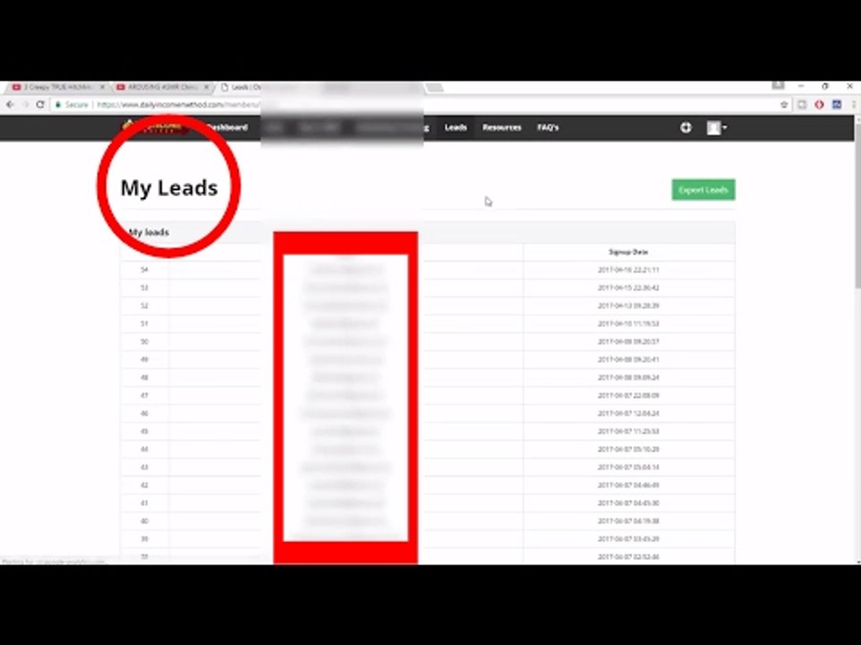Why Beginners NEED Daily Income Method System For MCA