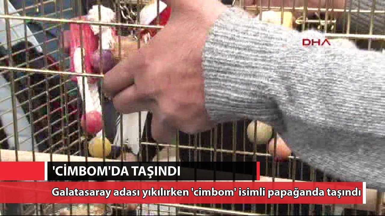 Yıkımdan o da nasibini aldı