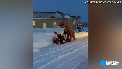 Just a T-Rex blowing snow off his driveway-PAk9XkHgwmU