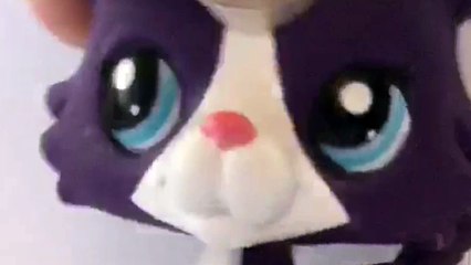 lps mv secret (short)