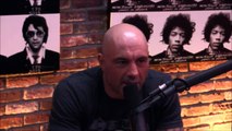 Joe Rogan and Gavin McInnes on Milo Yiannopoulos Cont