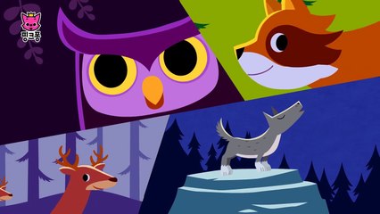 밤이 좋아 _ 동물동요 _ 핑크퐁! 인기