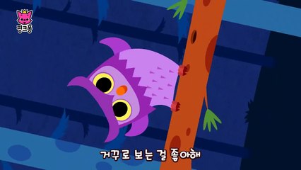 밤이 좋아 _ 동물동요 _ 핑크퐁! 인기동요-oP8hma3uDy0