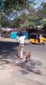 Ce policier fait traverser un chien en arrêtant les voitures !