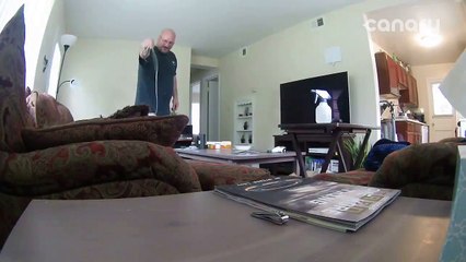 Cet homme de ménage joue avec le chat !