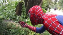 Spiderman Peppa Pig SAW Zombie ! Superheroes Fun Venom Joker Hulk Movies Walker Attack Action Movies