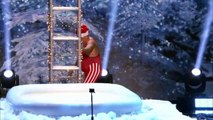 Professor Splash - Performer Attempts High-Diving Christmas Stunt - America's