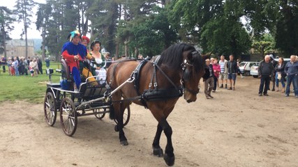 Défilé médiéval pour les 20 ans d'Equibreizh