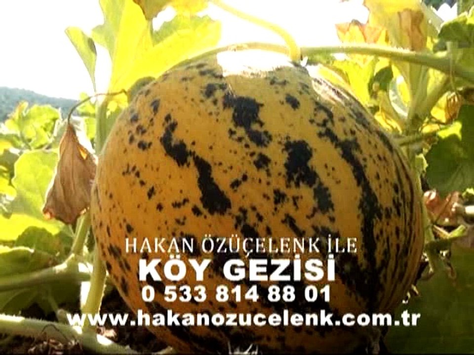 320 Bursa Balıkesir