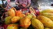 Indian Street Food - Sliced Fruits Healthy Street Food Kolkata - Food Street