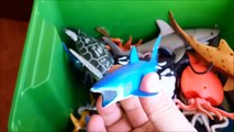 Shark Toys Kids Toy Box Sea Animals Toy Whales sea turtles caretta caretta turtles