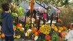 VLOG - FRISSONS & SENSATIONS à Nigloland pour Nigloween - Manèges et Attractions Halloween