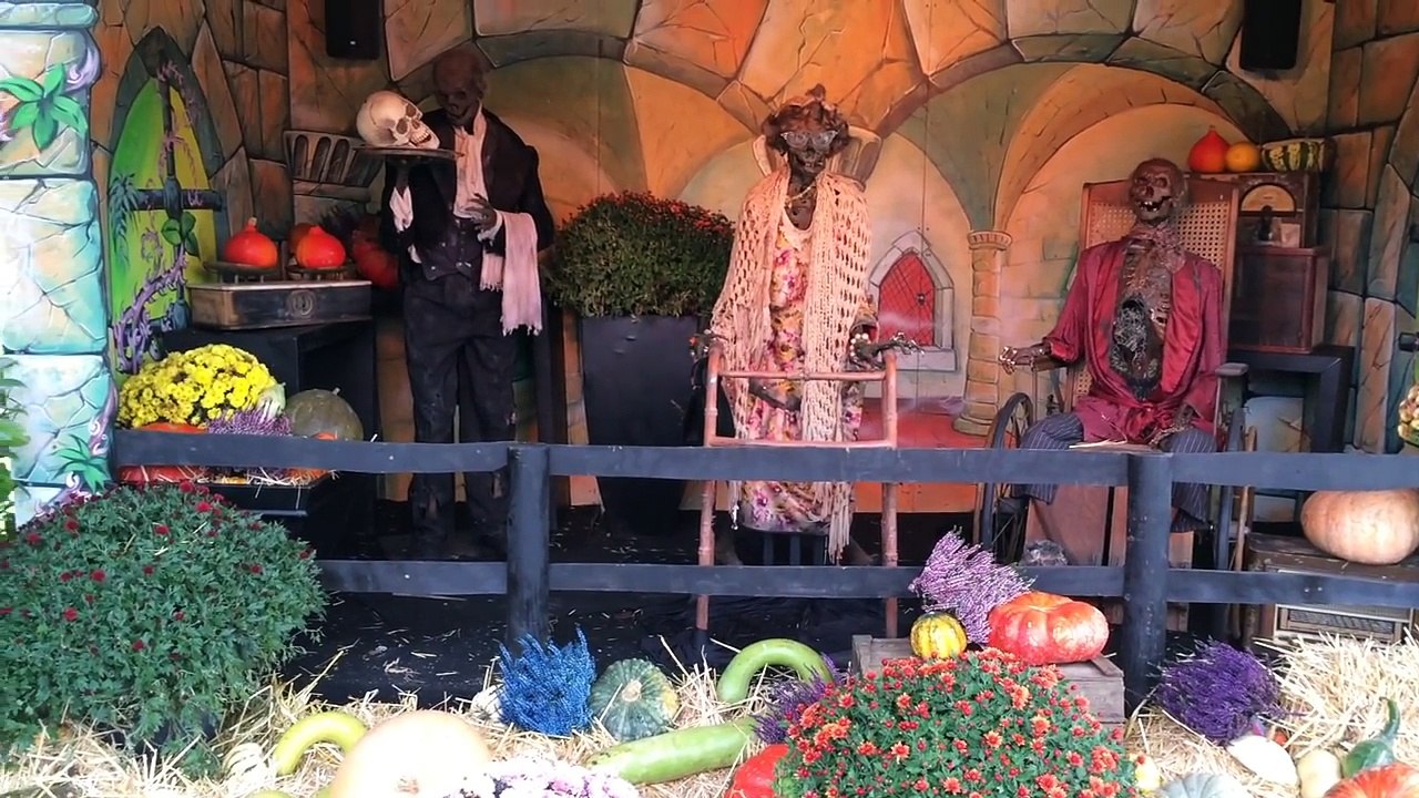 VLOG FLASHBACK - DES SQUELETTES QUI CHANTENT - Le Skeleton Orchestra de Nigloween -)