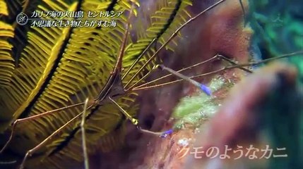 世界遺産　6月12日20160612