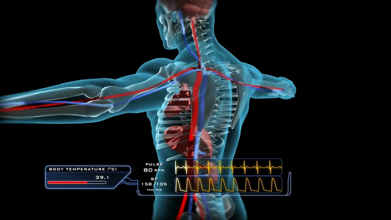 Naica The Crystal Caves 1of2 Secrets Of The Crystal Cave