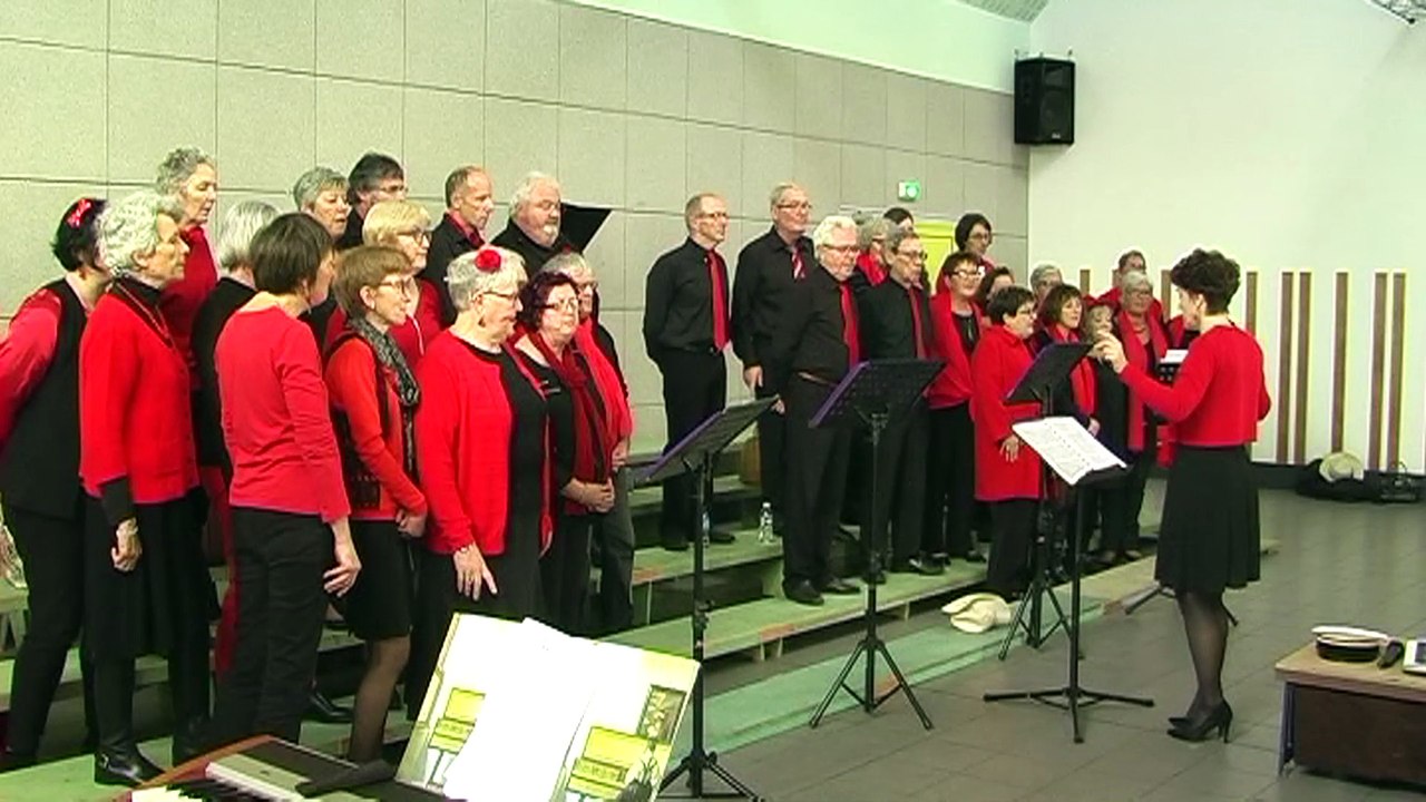 12.03.2017 extraits du concert salle polyvalente Kernilis chorales Marmite Basse-cour & Petits pas et Côte des Légendes