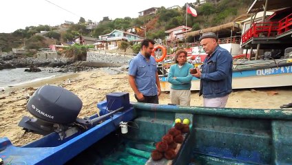 Plato Único 2017 -  La Marísquería -pt2