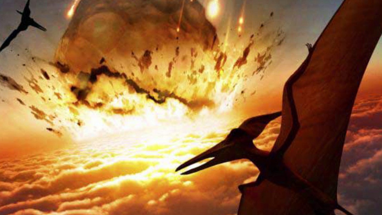 A Sixth MASS EXTINCTION Has Begun & It's Our Fault