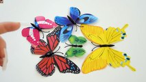 Learn Colors Nail Arts Butterfly Nails Colours Learn Sizes Teach Kids Butterfly Size Colors