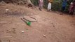 Shocking moment an Indian Cobra regurgitates a PLASTIC BOTTLE after attempting to eat it
