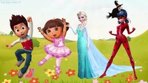 Wrong Dress Paw Patrol Frozen Elsa Dora Miraculous Ladybug Finger Family Song Colors for Kids