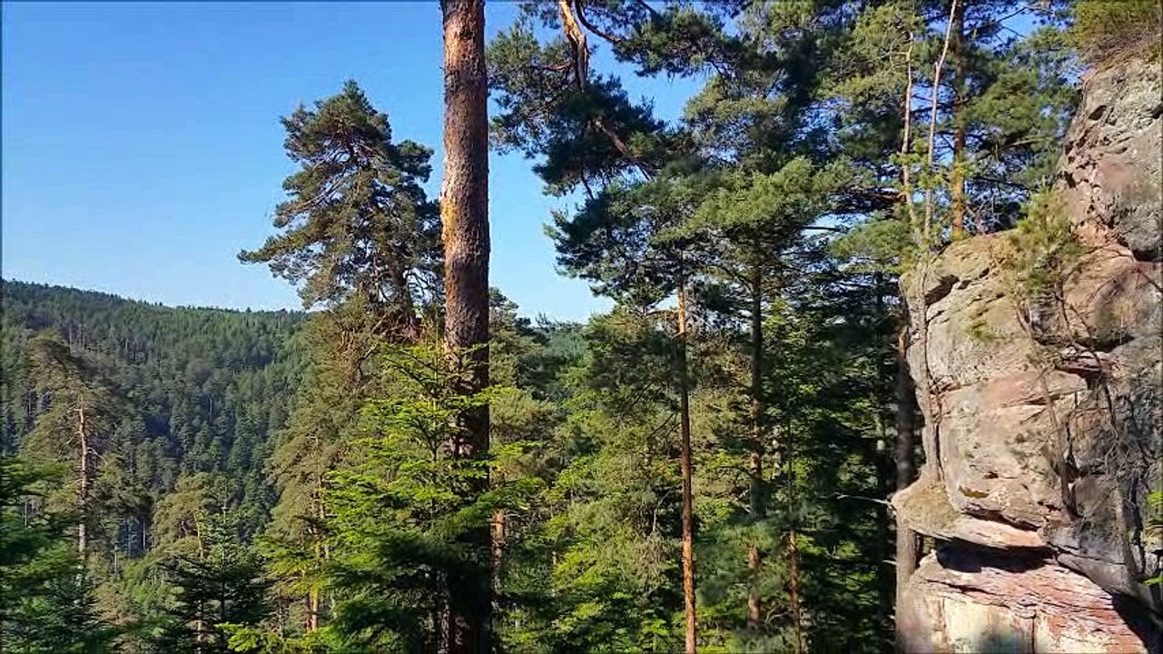 Bloc vosges mai 2017