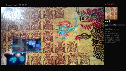 The Legend Of Zelda Breath of the Wild Wii u (11)