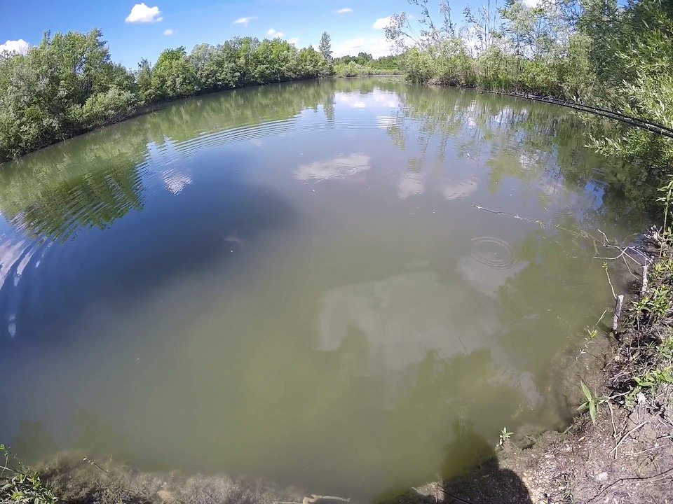 La ferme des Tommelles mai 2017