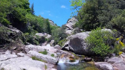 Cascade dans les gorges de la Colombiere