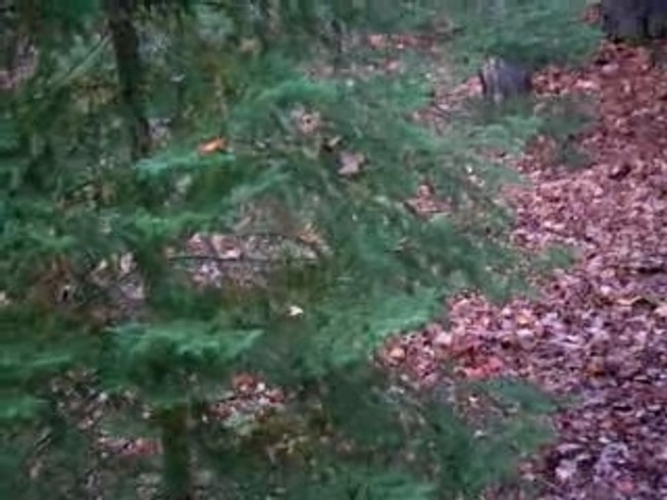 4 point at Toivo Spot