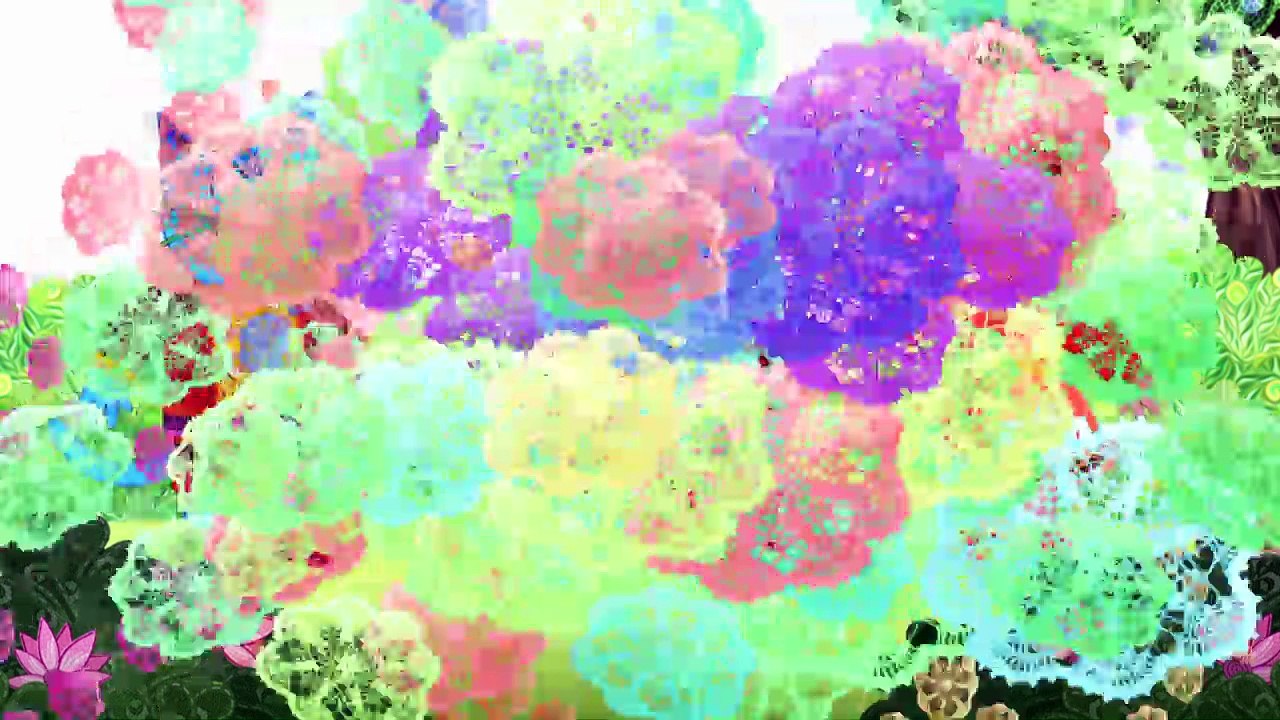 Kater Miro (2) - Wunderplunder