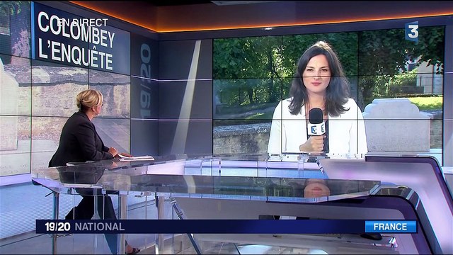 Colombey-les-Deux-Églises : l'homme qui a vandalisé la tombe du général de Gaulle toujours recherché