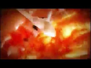 Gestación, primeros momentos