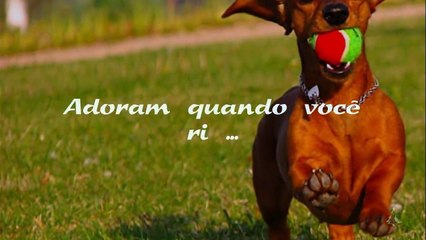 FAZ CHORAR (subtitled) mas vale a pena (COMPARTILHE! Conscientização Emocionante).