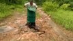 Snake catcher releases hundreds of rat snakes, co