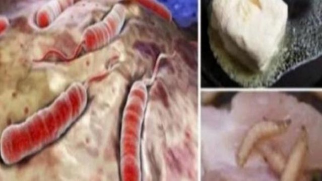 PARE JÁ DE COMER ESSES 5 ALIMENTOS PARA O SEU PRÓPRIO BEM! (Ls News)