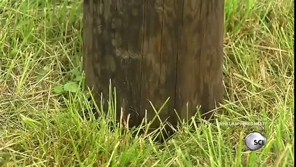 How It's Made - HYDRAULIC POST DRIVERS