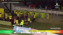 Chris Lynn BIGGEST and LONGEST Sixes in Cricket
