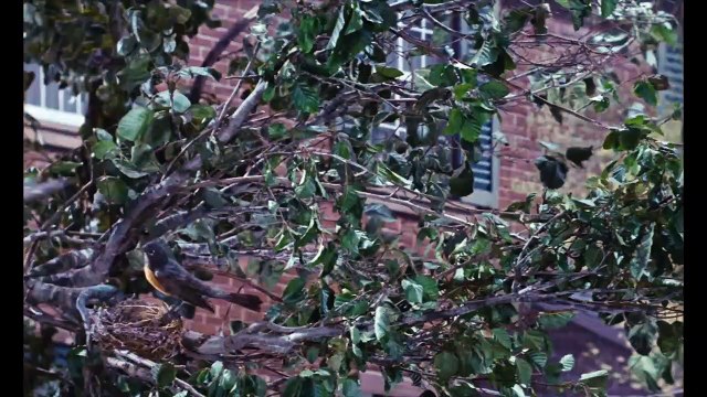 Löffelchen voll Zucker _ A Spoonful Of Sugar - Mary Poppins - Jub