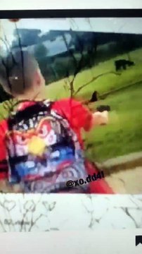 Russell Horning Backpack kid from SNL shoots goat in eye! Animal Cruelty Video. Katy Perry ashamed!