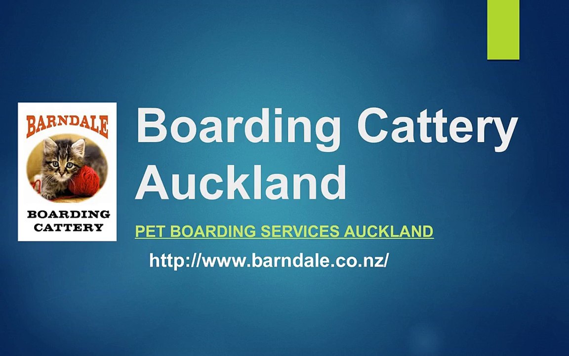 Boarding Cattery Auckland