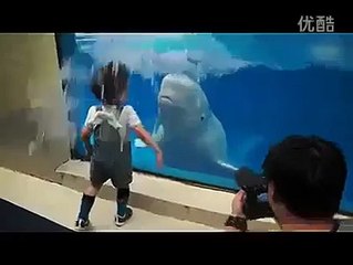 TOP Cute Babies In The World - Funny Baby Short Videos clip 8