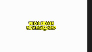 Wieso küssen sich Menschen-xwZ67spCQS8