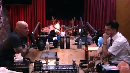 Joe Rogan and Gavin McInnes on Milo Y
