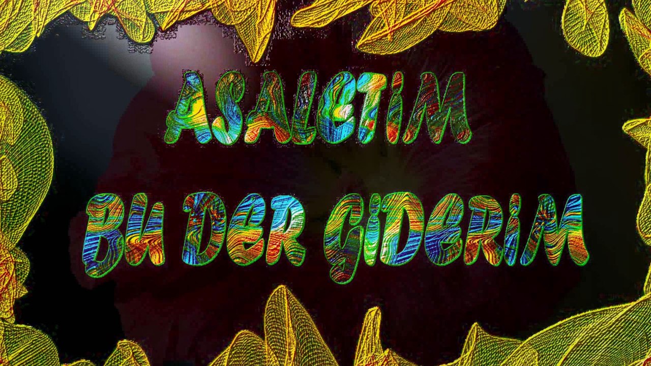 Şair Yazar Enver ÖZEL'in Asaletim Bu Der Giderim Şiiri