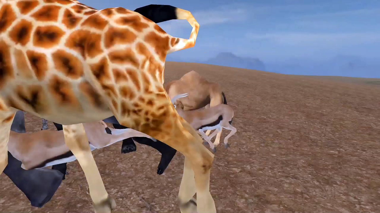 WAO_Main Video