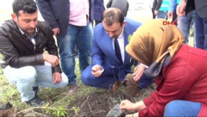 Kars Hükümlüler Fidan Dikti