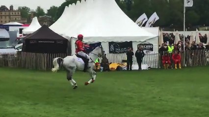 Un cheval pique du nez en sautant un obstacle
